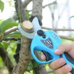 小剪刀剪出大产业：连续3年全国销量第一，舒畅（SUCA）如何重新定义智慧园艺？